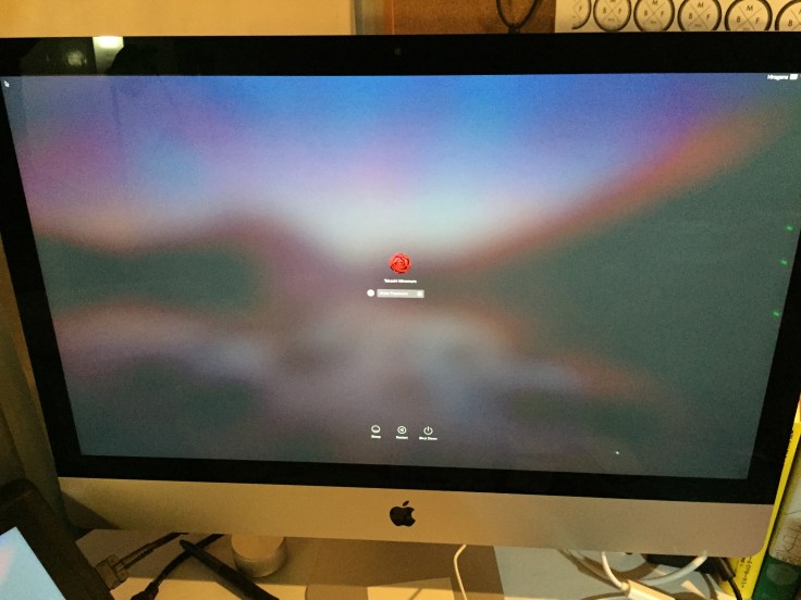 ふぅ、無事に正常に立ち上がったね。