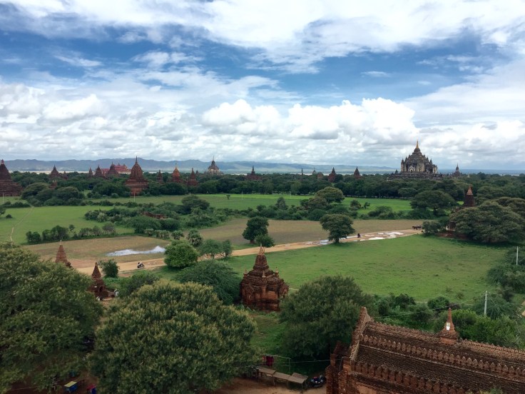 写真からではうまく伝えられないが無限のパゴダが目の前に広がる。