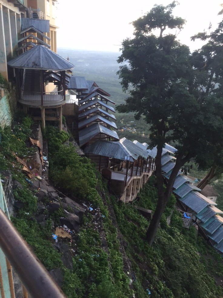 急勾配、ウンチ、オシッコ、蚊、ハエ、強烈な匂い、雨。。